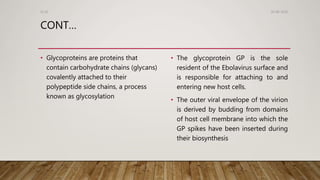 CONT…
• Glycoproteins are proteins that
contain carbohydrate chains (glycans)
covalently attached to their
polypeptide side chains, a process
known as glycosylation
• The glycoprotein GP is the sole
resident of the Ebolavirus surface and
is responsible for attaching to and
entering new host cells.
• The outer viral envelope of the virion
is derived by budding from domains
of host cell membrane into which the
GP spikes have been inserted during
their biosynthesis
26-08-2020Dr.SS
 