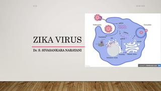 ZIKA VIRUS
Dr. S. SIVASANKARA NARAYANI
06-08-2020Dr.SS
 