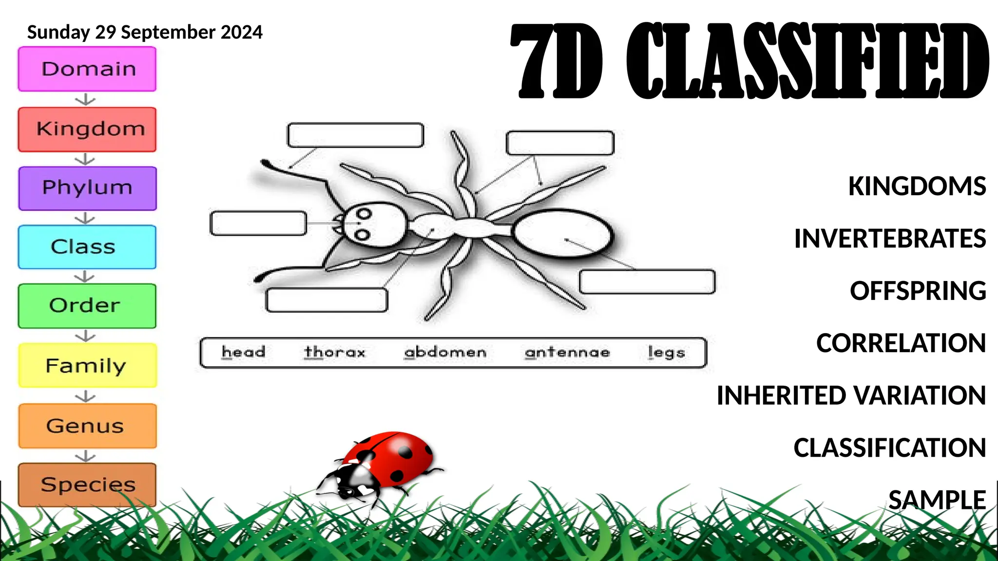 Classification Sep 7D-CLASSIFICATION.pptx classification pt | PPTX