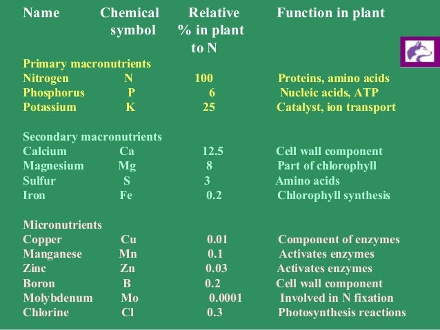 are of chemical nucleic the acids what elements Plant Nutrition are of chemical nucleic the acids what elements Plant Nutrition