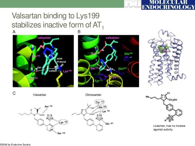 Irbesartan Hydrochlorothiazide Wikipedia