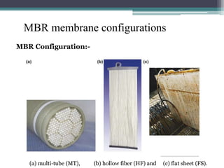 MEMBRANE BIO-REACTOR | PPTX