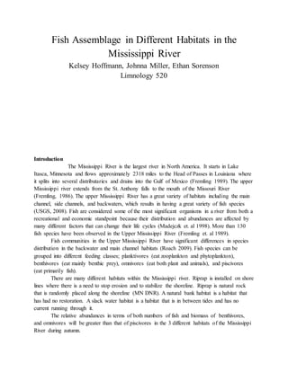 Fish Assemblage in Different Habitats in the
Mississippi River
Kelsey Hoffmann, Johnna Miller, Ethan Sorenson
Limnology 520
Introduction
The Mississippi River is the largest river in North America. It starts in Lake
Itasca, Minnesota and flows approximately 2318 miles to the Head of Passes in Louisiana where
it splits into several distributaries and drains into the Gulf of Mexico (Fremling 1989). The upper
Mississippi river extends from the St. Anthony falls to the mouth of the Missouri River
(Fremling, 1986). The upper Mississippi River has a great variety of habitats including the main
channel, side channels, and backwaters, which results in having a great variety of fish species
(USGS, 2008). Fish are considered some of the most significant organisms in a river from both a
recreational and economic standpoint because their distribution and abundances are affected by
many different factors that can change their life cycles (Madejczk et. al 1998). More than 130
fish species have been observed in the Upper Mississippi River (Fremling et. al 1989).
Fish communities in the Upper Mississippi River have significant differences in species
distribution in the backwater and main channel habitats (Roach 2009). Fish species can be
grouped into different feeding classes; planktivores (eat zooplankton and phytoplankton),
benthivores (eat mainly benthic prey), omnivores (eat both plant and animals), and piscivores
(eat primarily fish).
There are many different habitats within the Mississippi river. Riprap is installed on shore
lines where there is a need to stop erosion and to stabilize the shoreline. Riprap is natural rock
that is randomly placed along the shoreline (MN DNR). A natural bank habitat is a habitat that
has had no restoration. A slack water habitat is a habitat that is in between tides and has no
current running through it.
The relative abundances in terms of both numbers of fish and biomass of benthivores,
and omnivores will be greater than that of piscivores in the 3 different habitats of the Mississippi
River during autumn.
 