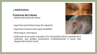 • fractura de la base del cráneo
equimosis periorbitaria (ojos de mapache)
equimosis retroauricular (signo de Battle)
Rinorraquia y otorraquia
disfunción de los pares craneales VII y VIII (parálisis facial y pérdida de la
audición), que pueden presentarse inmediatamente o varios días
después de la lesión inicial.
2. MORFOLOGICA
Fracturas de Cráneo
 