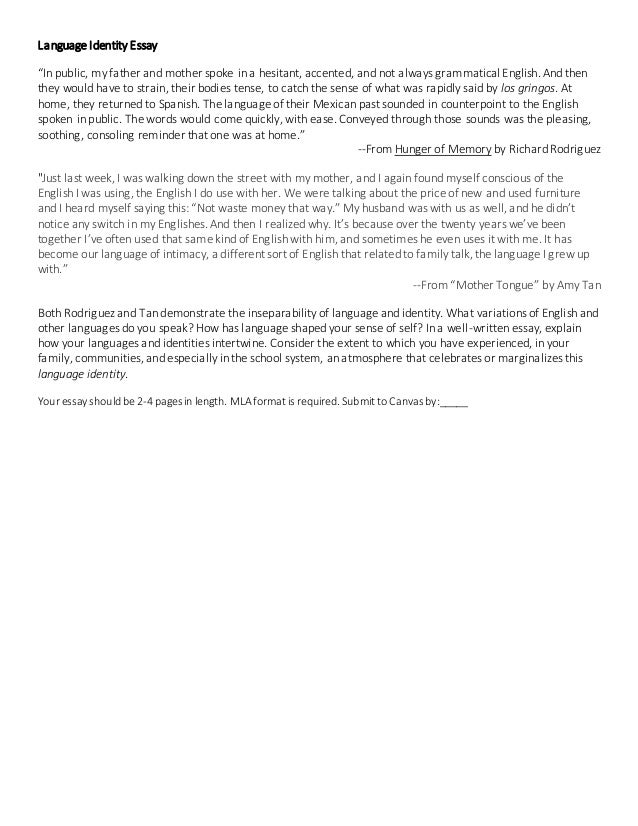 Identity: Definition and Analysis - Words | Essay Example essay identity
