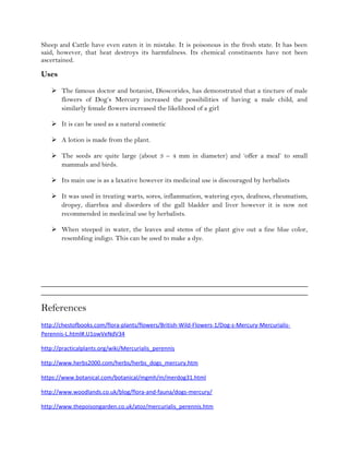 Sheep and Cattle have even eaten it in mistake. It is poisonous in the fresh state. It has been
said, however, that heat destroys its harmfulness. Its chemical constituents have not been
ascertained.
Uses
 The famous doctor and botanist, Dioscorides, has demonstrated that a tincture of male
flowers of Dog’s Mercury increased the possibilities of having a male child, and
similarly female flowers increased the likelihood of a girl
 It is can be used as a natural cosmetic
 A lotion is made from the plant.
 The seeds are quite large (about 3 – 4 mm in diameter) and ‘offer a meal’ to small
mammals and birds.
 Its main use is as a laxative however its medicinal use is discouraged by herbalists
 It was used in treating warts, sores, inflammation, watering eyes, deafness, rheumatism,
dropsy, diarrhea and disorders of the gall bladder and liver however it is now not
recommended in medicinal use by herbalists.
 When steeped in water, the leaves and stems of the plant give out a fine blue color,
resembling indigo. This can be used to make a dye.
References
http://chestofbooks.com/flora-plants/flowers/British-Wild-Flowers-1/Dog-s-Mercury-Mercurialis-
Perennis-L.html#.U1owVeNdV34
http://practicalplants.org/wiki/Mercurialis_perennis
http://www.herbs2000.com/herbs/herbs_dogs_mercury.htm
https://www.botanical.com/botanical/mgmh/m/merdog31.html
http://www.woodlands.co.uk/blog/flora-and-fauna/dogs-mercury/
http://www.thepoisongarden.co.uk/atoz/mercurialis_perennis.htm
 