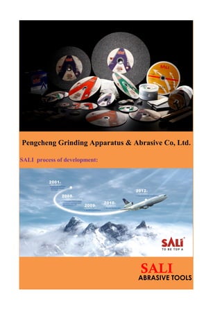 SALI
Pengcheng Grinding Apparatus & Abrasive Co, Ltd.
SALI process of development:
ABRASIVE TOOLS
 