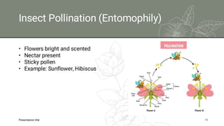 Pollination PPT types of pollination and different types of pollinator ...
