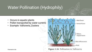Pollination PPT types of pollination and different types of pollinator ...
