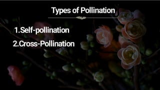 Pollination PPT types of pollination and different types of pollinator ...