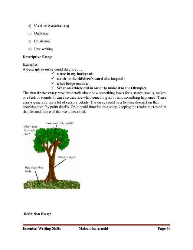 Description of essay