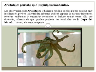 Aristóteles pensaba que los pulpos eran tontos.
Las observaciones de Aristóteles le hicieron concluir que los pulpos no eran muy
inteligentes, pero en la actualidad sabemos que son capaces de navegar laberintos,
resolver problemas y encontrar soluciones e incluso tomar cosas sólo por
diversión, además de que pueden predecir los resultados de la Copa del
Mundo... bueno, al menos uno pudo.
 