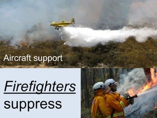 Aerial Firefighting A Strategic Perspective - David Pearce | PDF