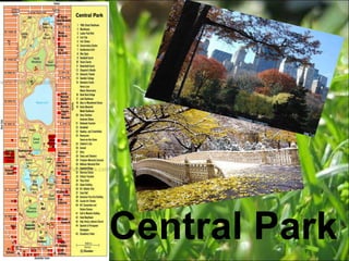 Central Park 