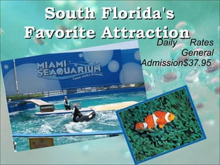 South Florida's Favorite Attraction   Daily  Rates General Admission$37.95  