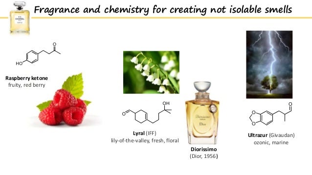 Fragrances Chemistry