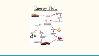 Energy Flow
 