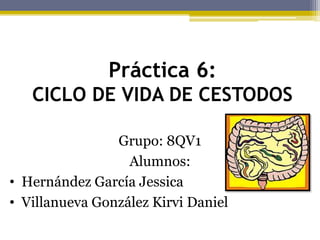 Grupo: 8QV1
Alumnos:
• Hernández García Jessica
• Villanueva González Kirvi Daniel
Práctica 6:
CICLO DE VIDA DE CESTODOS
 