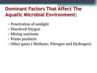 Dominant Factors That Affect The
Aquatic Microbial Environment:
• Penetration of sunlight
• Dissolved Oxygen
• Mixing nutrients
• Waste products
• Other gases ( Methane, Nitrogen and Hydrogen).
 