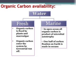 Organic Carbon availability:
Water
Fresh Marine
• Organic carbon
is fixed by
plants and
macroalgae
• Organic carbon
enter the
system by
terrestrial run
off.
• In open ocean all
organic carbon is
product of microbial
autotrophy
• One half of carbon
fixation on Earth is
made in oceans
 