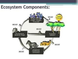 Ecosystem Components:
 