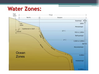 Water Zones:
 