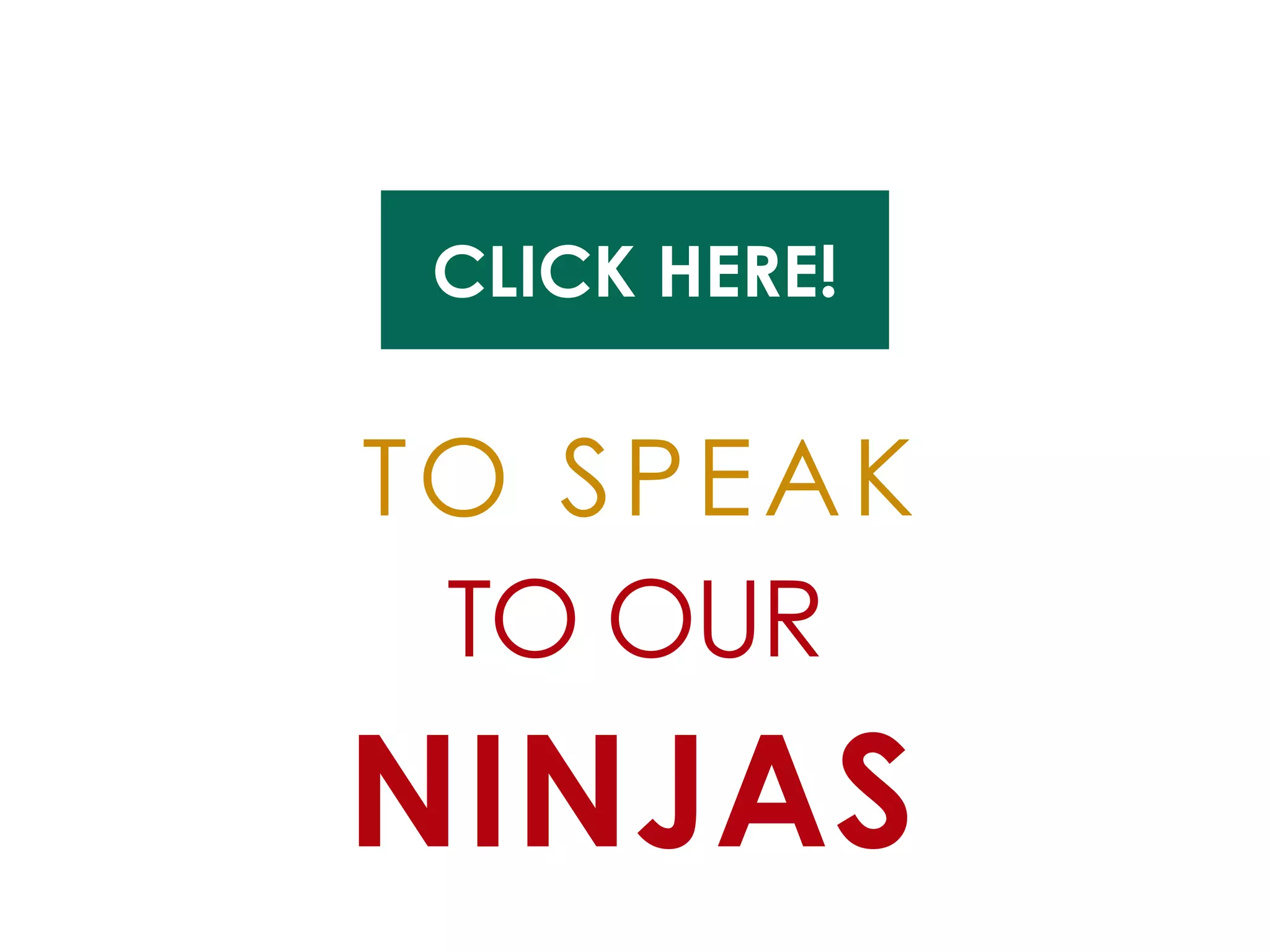 CLICK HERE! 
TO SPEAK 
TO OUR 
NINJAS  
