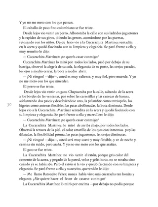 30
Y yo no me meto con los que patean.
El caballo de paso fino colombiano se fue triste.
Desde lejos vio venir un perro. Alborotaba la calle con sus ladridos juguetones
y la rapidez de sus giros, oliendo las gentes, asomándose por las puertas,
retozando con los niños. Desde lejos vio a la Cucarachita Martínez sentadita
en la acera y quedó fascinado con su limpieza y elegancia. Se paró frente a ella y
muy resuelto le dijo:
— Cucarachita Martínez: ¿te querés casar conmigo?
Cucarachita Martínez lo miró por todos los lados, pasó por debajo de su
barriga, observó la alegría de su cola, la elegancia de su porte, las orejas paradas,
los ojos a medio cerrar, la boca a medio abrir.
— ¡Ni riesgos! —dijo—, usted es muy valiente, y muy fiel, pero muerde. Y yo
no me meto con los que muerden.
El perro se fue triste.
Desde lejos vio venir un gato. Chapuceaba por la calle, saltando de la acera
a los bordes de las ventanas, por sobre las carretillas y las canecas de basura,
adelantando dos pasos y devolviéndose uno, la pelambre como terciopelo, los
bigotes como antenas flexibles, las patas abollonadas, la boca diminuta. Desde
lejos vio a la Cucarachita Martínez sentadita en la acera y quedó fascinado con
su limpieza y elegancia. Se paró frente a ella y marrullero le dijo:
— Cucarachita Martínez: ¿te querés casar conmigo?
La Cucarachita Martínez lo miró de arriba abajo, por todos los lados.
Observó la tersura de la piel, el color amarillo de los ojos con inmensas pupilas
dilatadas, la flexibilidad pronta, las patas juguetonas, las orejas diminutas.
— ¡Ni riesgos! —dijo—, usted será muy suave y muy flexible, y ve de noche y
camina sin ruido, pero araña. Y yo no me meto con los que arañan.
El gato se fue triste.
La Cucarachita Martínez no vio venir el ratón, porque gris color del
cemento de la acera, y pegado de la pared, veloz y gelatinoso, no se notaba sino
cuando ya se había ido. Pero el ratón sí la vio y quedó fascinado con su limpieza y
elegancia. Se paró frente a ella y suavecito, querendón le dijo:
— Me llamo Ratoncito Pérez; nunca había visto una cucaracha tan bonita y
elegante. ¿Me quiere hacer el favor de casarse conmigo?
La Cucarachita Martínez lo miró por encima —por debajo no podía porque
 