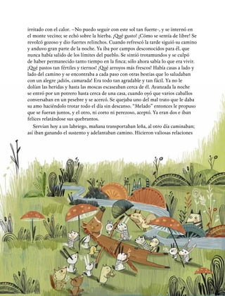 5
irritado con el calor. –No puedo seguir con este sol tan fuerte-, y se internó en
el monte vecino; se echó sobre la hierba. ¡Qué gusto! ¡Cómo se sentía de libre! Se
revolcó gozoso y dio fuertes relinchos. Cuando refrescó la tarde siguió su camino
y anduvo gran parte de la noche. Ya iba por campos desconocidos para él, que
nunca había salido de los límites del pueblo. Se sintió trotamundos y se culpó
de haber permanecido tanto tiempo en la finca; sólo ahora sabía lo que era vivir.
¡Qué pastos tan fértiles y tiernos! ¡Qué arroyos más frescos! Había casas a lado y
lado del camino y se encontraba a cada paso con otras bestias que lo saludaban
con un alegre ¡adiós, camarada! Era todo tan agradable y tan fácil. Ya no le
dolían las heridas y hasta las moscas escaseaban cerca de él. Avanzada la noche
se entró por un potrero hasta cerca de una casa, cuando oyó que varios caballos
conversaban en un pesebre y se acercó. Se quejaba uno del mal trato que le daba
su amo haciéndolo trotar todo el día sin descanso. “Melado” entonces le propuso
que se fueran juntos, y el otro, ni corto ni perezoso, aceptó. Ya eran dos e iban
felices relatándose sus quebrantos.
Servían hoy a un labriego, mañana transportaban leña, al otro día caminaban;
así iban ganando el sustento y adelantaban camino. Hicieron valiosas relaciones
 