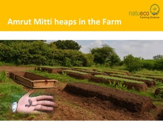 Amrut Mitti - Solution based on diverse agro - ecological | PPTX