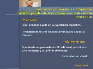 Desarrollo Perceptivo PPT