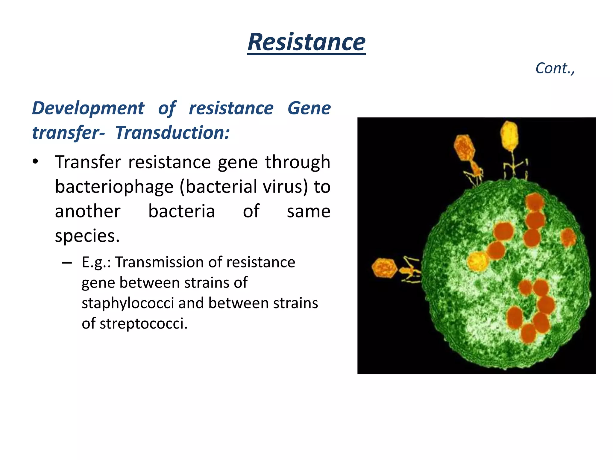 Development of resistance Gene
transfer- Transduction:
• Transfer resistance gene through
bacteriophage (bacterial virus) to
another bacteria of same
species.
– E.g.: Transmission of resistance
gene between strains of
staphylococci and between strains
of streptococci.
Resistance
Cont.,
 