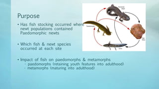 ENVI13 Seminar Cross A PPT ENVI13 Seminar Cross A 3 320