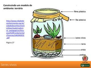 Seres vivos
Construindo um modelo de
ambiente: terrário
http://www.cidadedo
conhecimento.org.br/
cidadedoconheciment
o/downloads/cadern
os_pedagogicos/Educ
acao%20Fundamental
/Ciencias/UNIDADE01
.pdf
Página 27
 