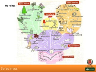 Seres vivos
Os reinos
 