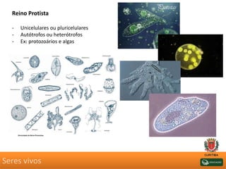 Seres vivos
Reino Protista
- Unicelulares ou pluricelulares
- Autótrofos ou heterótrofos
- Ex: protozoários e algas
 