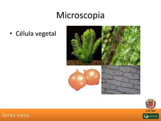 Microscopia
• Célula vegetal
Seres vivos
 