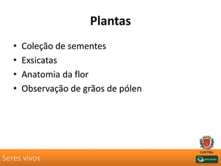 Plantas
• Coleção de sementes
• Exsicatas
• Anatomia da flor
• Observação de grãos de pólen
Seres vivos
 
