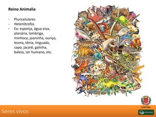 Seres vivos
Reino Animalia
- Pluricelulares
- Heterótrofos
- Ex: esponja, água-viva,
planária, lombriga,
minhoca, joaninha, ouriço,
lesma, tênia, linguado,
sapo, jacaré, galinha,
baleia, ser humano, etc.
 