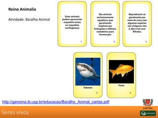 Seres vivos
Reino Animalia
Atividade: Baralho Animal
http://genoma.ib.usp.br/educacao/Baralho_Animal_cartas.pdf
 