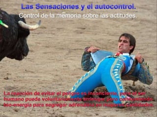 Las Sensaciones y el autocontrol.Control de la memoriasobrelasactitudes.La reacción de evitar el peligroesinconciente, pero el ser humanopuedevoluntariamentearriesgarperoconsumiendo bio-energíaparasegregaradrenalina en mayorescantidades.
