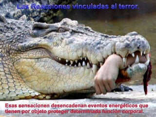 Las Reaccionesvinculadas al terror.Esassensacionendesencadenaneventosenergéticosquetienenporobjetoprotegerdeterminadafunción corporal.