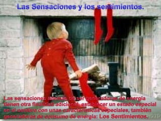 Las Sensaciones y los sentimientos.Las sensacionesademás de ser generadoras de energíatienenotrafinalidadadicional, establecer un estado especial en el cerebro con unascaracterísticasespeciales, tambiéngeneradorasde consumo de energía: Los Sentimientos.
