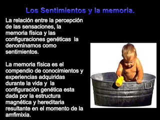 Los Sentimientos y la memoria. La relación entre la percepción de lassensaciones, la memoriafísica y lasconfiguracionesgenéticas  la denominamoscomosentimientos.La memoriafísicaes el compendio de conocimientos y experienciasadquiridasdurante la vida y  la configuracióngenéticaesta dada por la estructuramagnética y hereditariaresultante en el momento de la amfimixia.