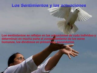 Los Sentimientos y lasactuacionesLos sentimientos se reflejan en lasactuaciones de cadaindividuo y determinan en mucha parte el comportamiento de los sereshumanos, los dividimos en primarios y secundarios.