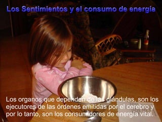 Los SentimientossecundariosLos sentimientossecundariosson adquisicionesefectuadas a través del aprendizaje, son:Poseerdinero, prestigio social.