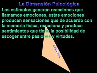La DimensiónPsicológicaLos estímulosgeneranreaccionesquellamamosemociones, estasemocionesproducensensacionesque de acuerdo con la memoriafísica, reacciona y produce sentimientosquetiene la posibilidad de escoger entre pasiones y virtudes.Psicológica