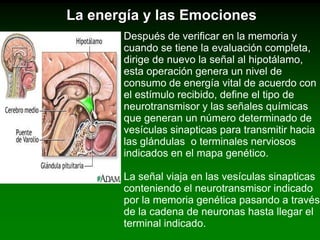 El Coránes el eje fundamental de la religiónislámica, profesadapormás de 450 millones de personas.