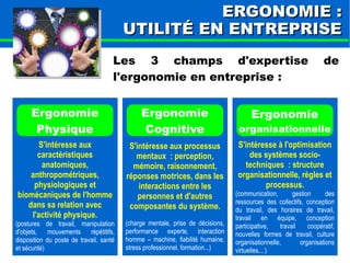 EERRGGOONNOOMMIIEE :: 
UUTTIILLIITTÉÉ EENN EENNTTRREEPPRRIISSEE 
Les 3 champs d'expertise de 
l'ergonomie en entreprise : 
Ergonomie 
Physique 
S'intéresse aux 
caractéristiques 
anatomiques, 
anthropométriques, 
physiologiques et 
biomécaniques de l'homme 
dans sa relation avec 
l'activité physique. 
(postures de travail, manipulation 
d'objets, mouvements répétitifs, 
disposition du poste de travail, santé 
et sécurité) 
Ergonomie 
Cognitive 
S'intéresse aux processus 
mentaux : perception, 
mémoire, raisonnement, 
réponses motrices, dans les 
interactions entre les 
personnes et d'autres 
composantes du système. 
(charge mentale, prise de décisions, 
performance experte, interaction 
homme – machine, fiabilité humaine, 
stress professionnel, formation...) 
Ergonomie 
organisationnelle 
S'intéresse à l'optimisation 
des systèmes socio-techniques 
: structure 
organisationnelle, règles et 
processus. 
(communication, gestion des 
ressources des collectifs, conception 
du travail, des horaires de travail, 
travail en équipe, conception 
participative, travail coopératif, 
nouvelles formes de travail, culture 
organisationnelle, organisations 
virtuelles... ) 
 