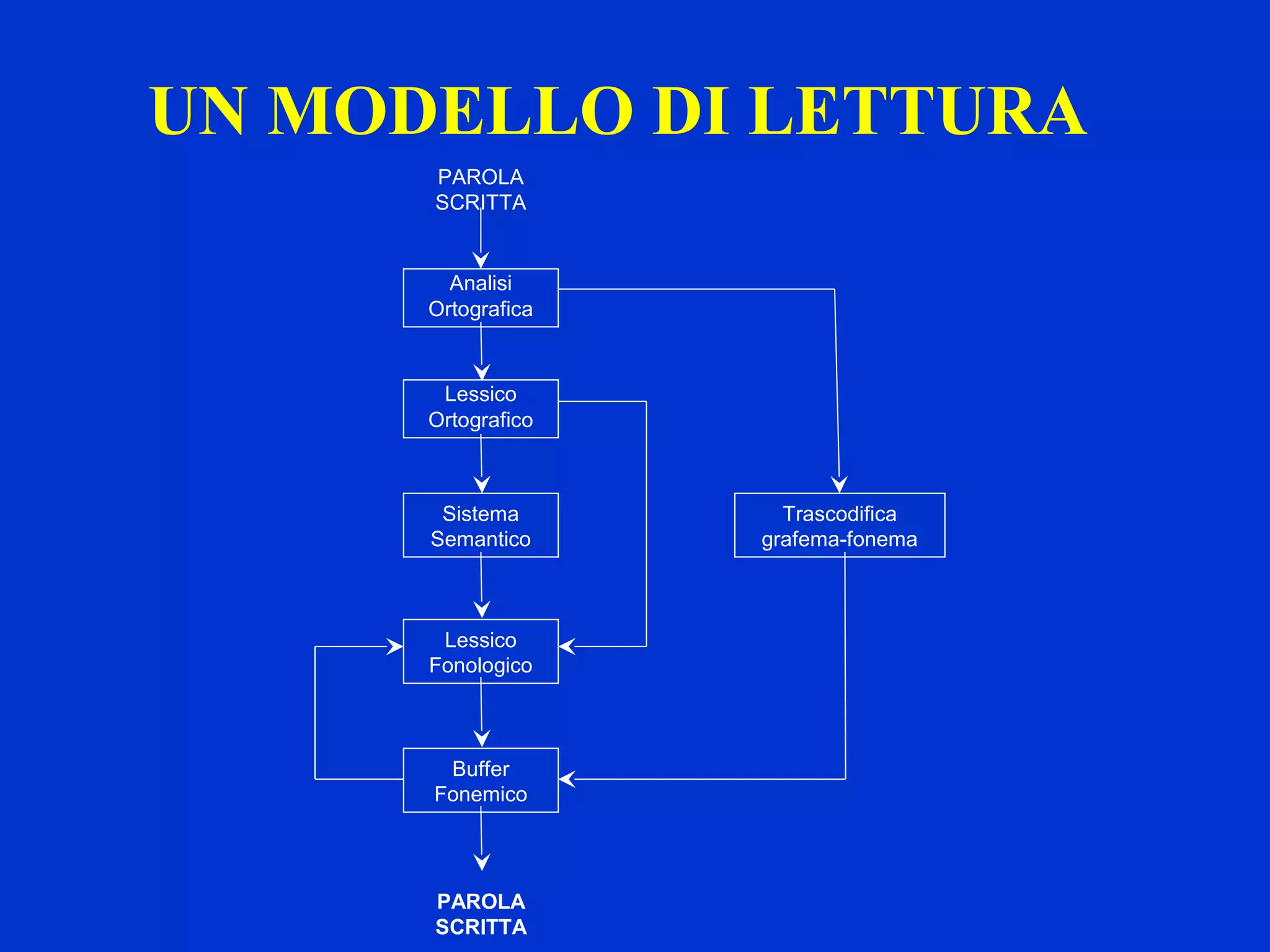 UN MODELLO DI LETTURA
Analisi
Ortografica
PAROLA
SCRITTA
Lessico
Ortografico
Sistema
Semantico
Lessico
Fonologico
Buffer
Fonemico
PAROLA
SCRITTA
Trascodifica
grafema-fonema
 